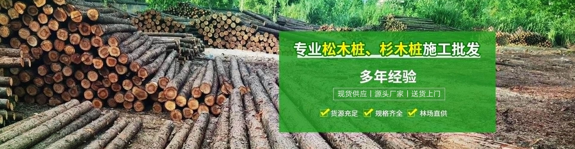 廣告標(biāo)題